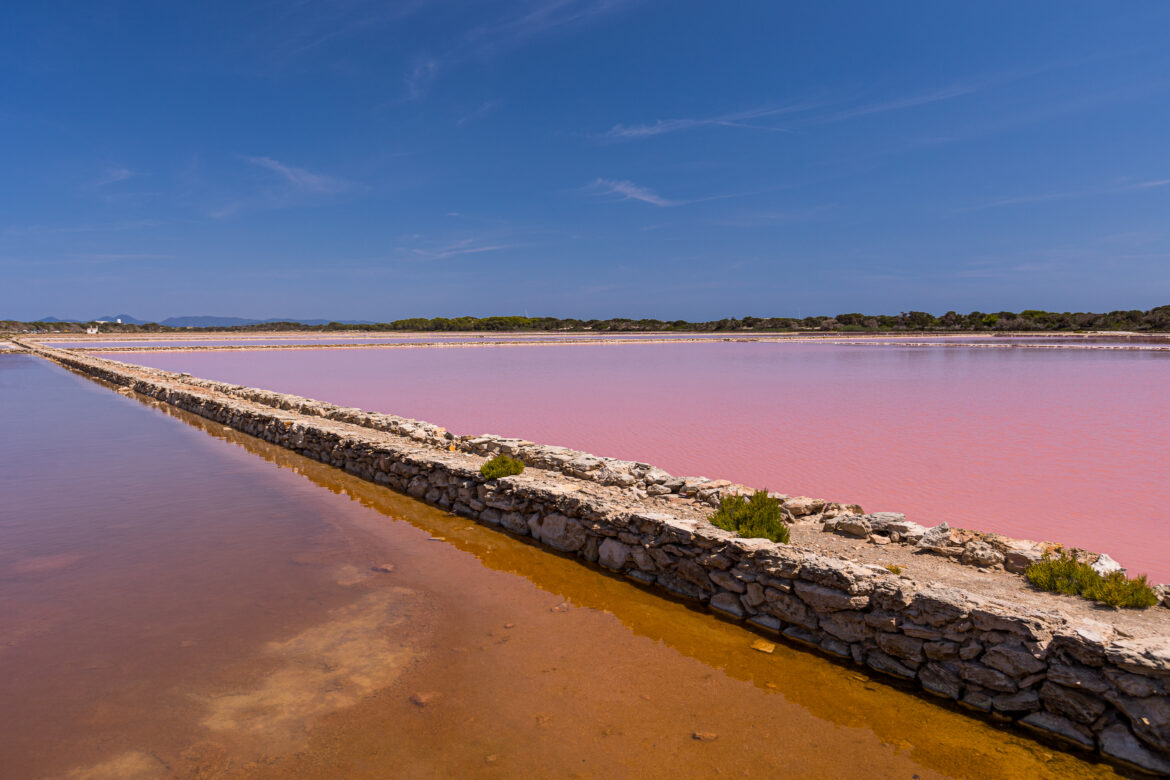 salines